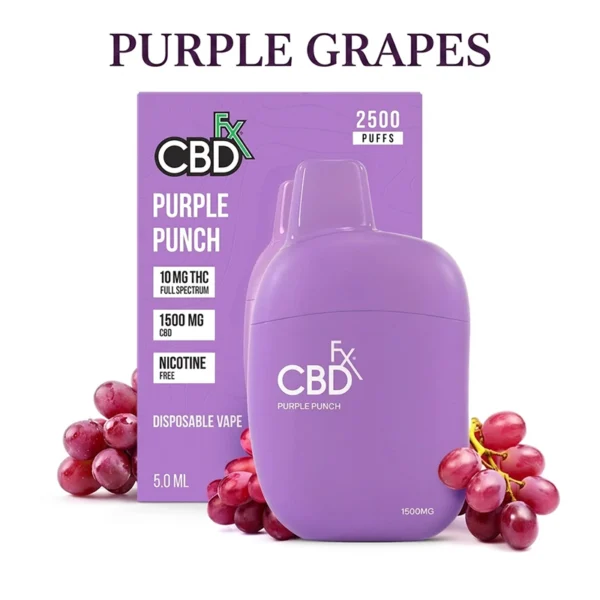 purple punch thc vape pen